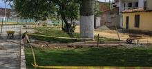 El Bulevar de Oriente crece y dos ceibas m&aacute;s crecer&aacute;n con &eacute;l
