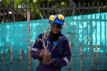 La huella de vida ecol&oacute;gica que deja el Proyecto Integral Cristo Rey en H&aacute;bitat Senderos